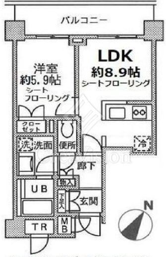 ファインステージ新横浜　302号室　間取り