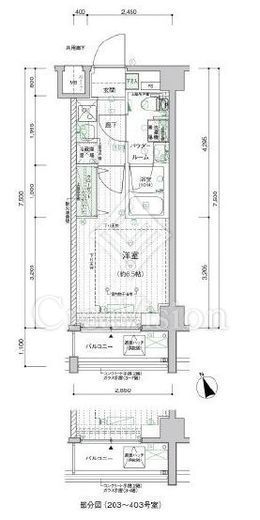 メインステージ横濱三ッ沢　203号室　間取り
