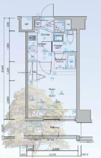 SYNEX横濱阪東橋Ⅱ(シーネクス横濱阪東橋Ⅱ)　1004号室　間取り