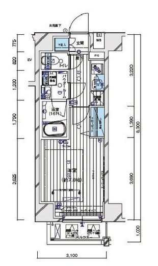 メインステージ白金3　303号室　間取り