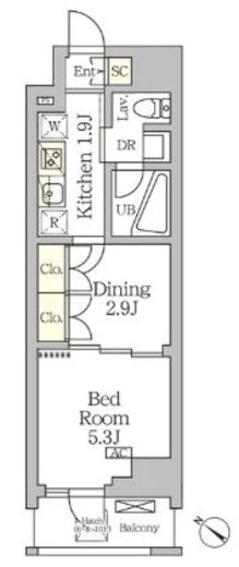 アジールコート松濤　803号室　間取り