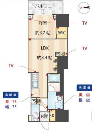 ZOOM信濃町　305号室　間取り
