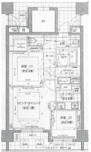 スタジオデン勝どき　802号室　間取り