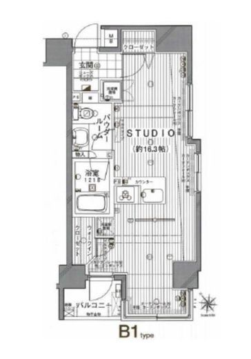 ラグジュアリーレジデンス新宿　205号室　間取り