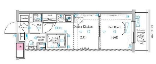ラフィスタ鷺ノ宮　219号室　間取り