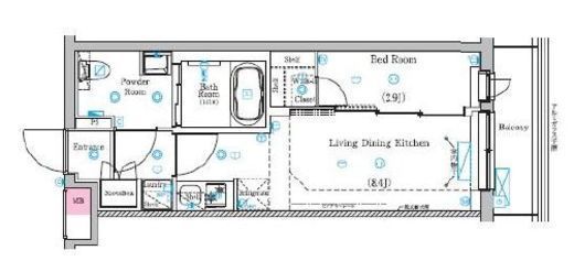 ラフィスタ鷺ノ宮　235号室　間取り