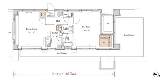 ブランシエスタ江古田　501号室　間取り