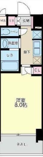 S-RESIDENCE錦糸町パークサイド (エスレジデンス錦糸町パークサイド)　405号室　間取り