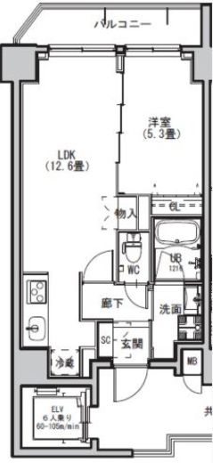 S-RESIDENCE両国avenue (エスレジデンス両国アベニュー)　801号室　間取り