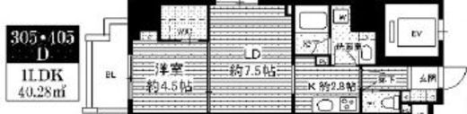 ミリアレジデンス根岸柳通　305号室　間取り
