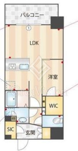ルネサンスコート錦糸町Ⅱ　301号室　間取り
