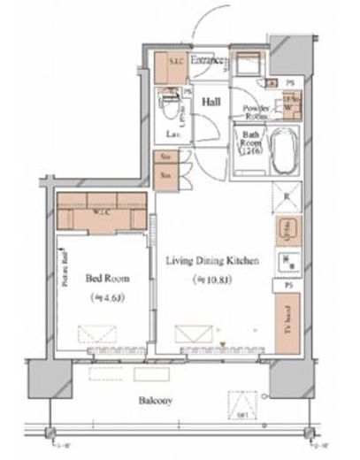 ブランシエスタ木場　513号室　間取り