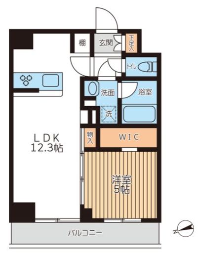 アジールコート西馬込2　205号室　間取り