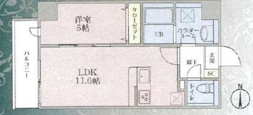 Plumeria　605号室　間取り