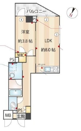 ZOOM下丸子　201号室　間取り