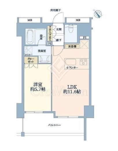 シェフルール文京茗荷谷　904号室　間取り