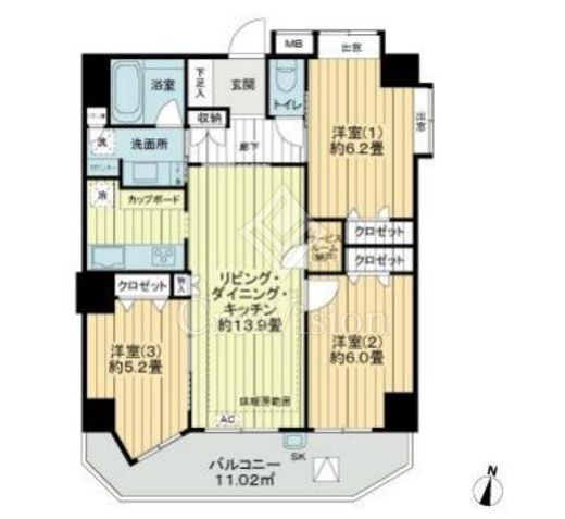 日神パレステージ板橋滝野川　505号室　間取り
