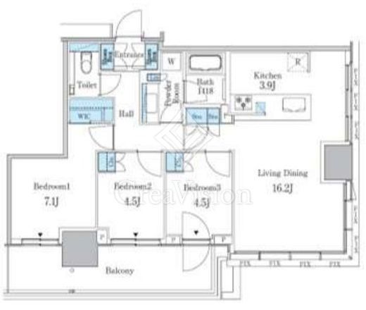大崎ステーションレジデンス　2910号室　間取り