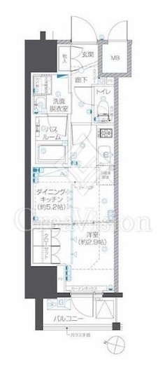 ZOOM本郷　902号室　間取り