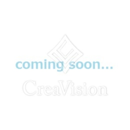 ザ・シティレジデンス新宿　502号室　間取り