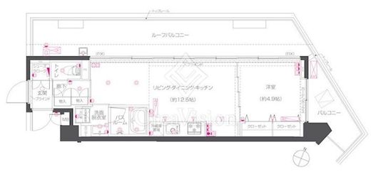 ZOOM練馬高野台　703号室　間取り