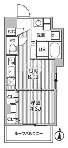 S-RESIDENCE亀戸balm　601号室　間取り