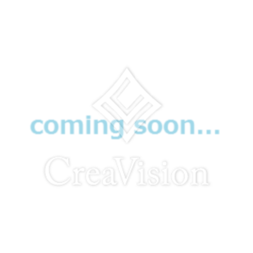 新橋プラザビル コアレジデンス　903号室　間取り