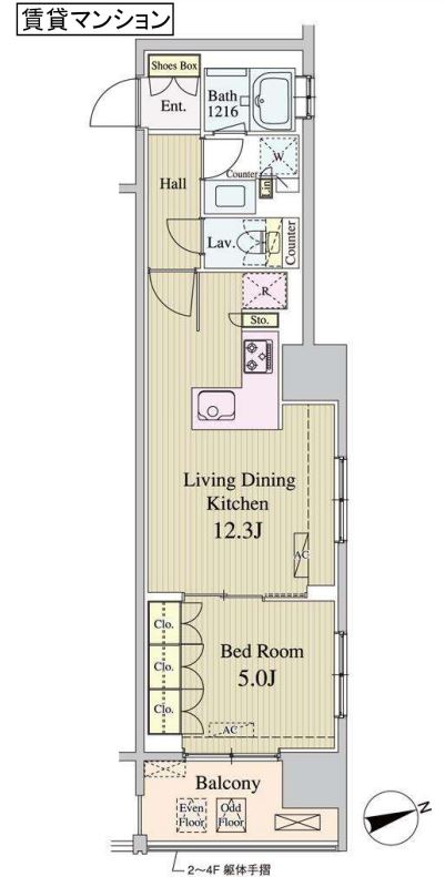 カルナ築地　804号室　間取り