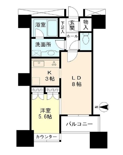 高輪ザ・レジデンス　910号室　間取り
