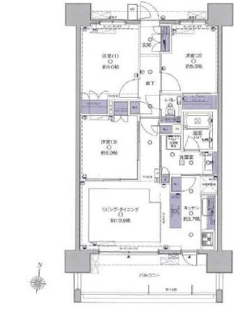 プレシス豊洲　902号室　間取り
