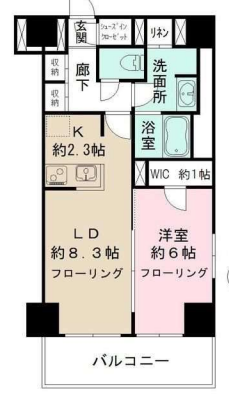 カメリアコート新宿　802号室　間取り