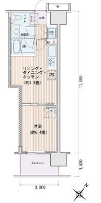 エスティメゾン豊洲レジデンス　C609号室　間取り
