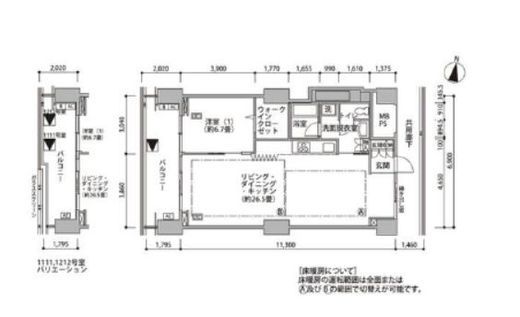 東雲キャナルコートCODAN　16-1111号室　間取り