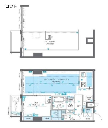 ZOOM広尾　502号室　間取り