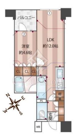 パークホームズ日本橋橘町　1204号室　間取り