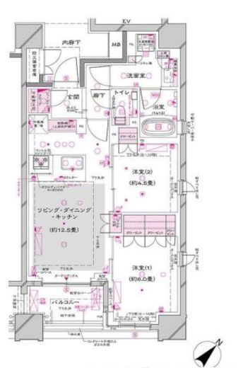 オーパスレジデンス銀座イースト　1101号室　間取り