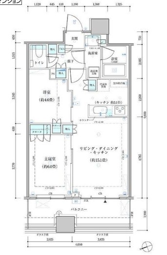 パークタワー勝どきミッド/サウス　S4909号室　間取り