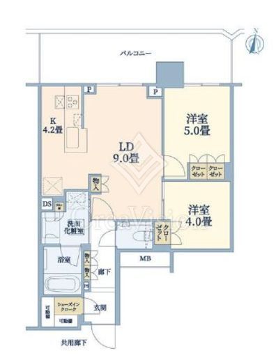 プラウドタワー亀戸クロス　1901号室　間取り