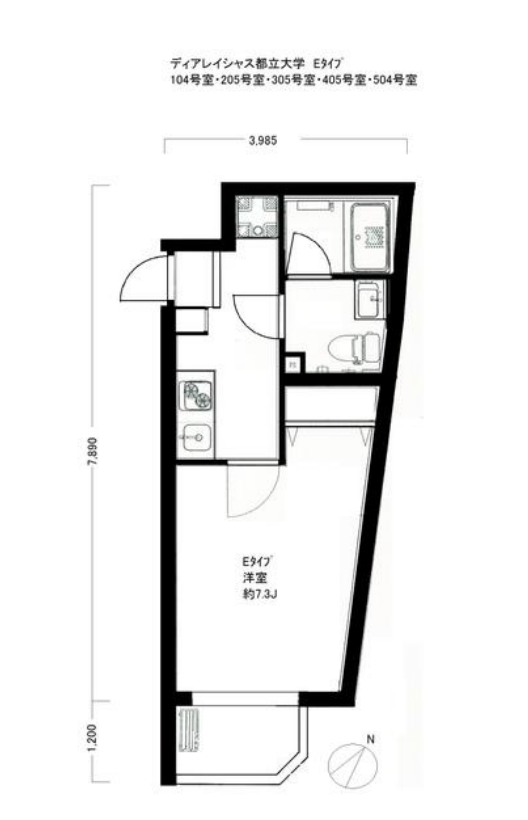 ディアレイシャス都立大駅前　205号室　間取り